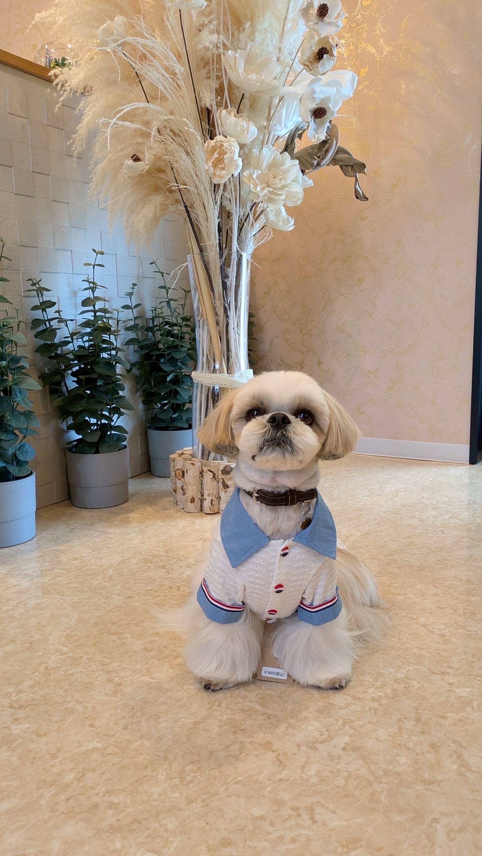 名前が入ります