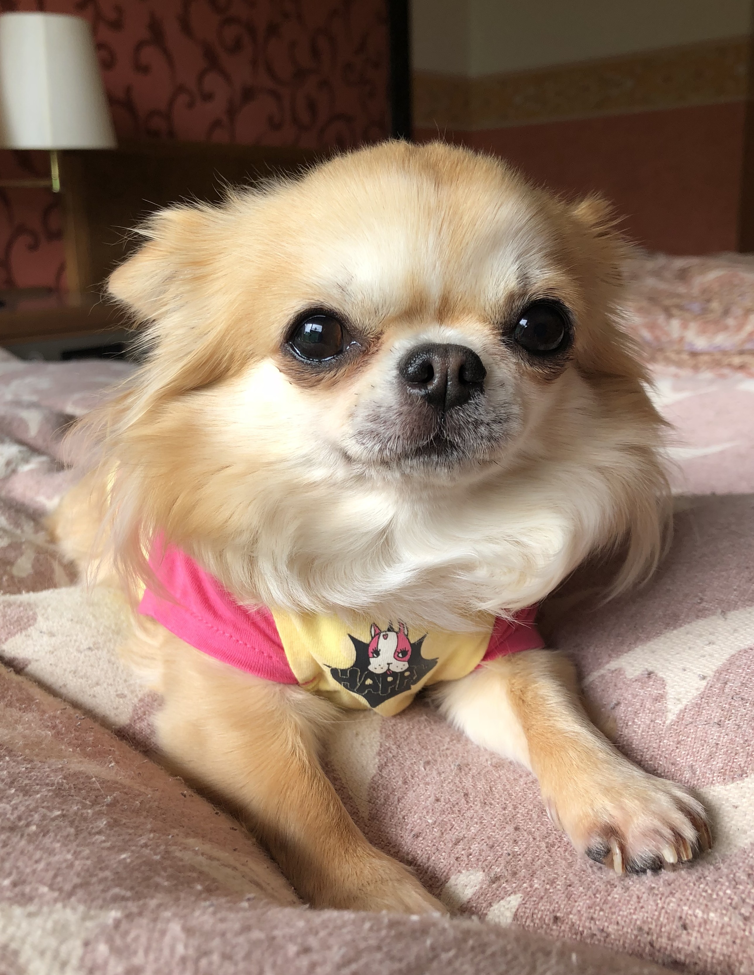 名前が入ります