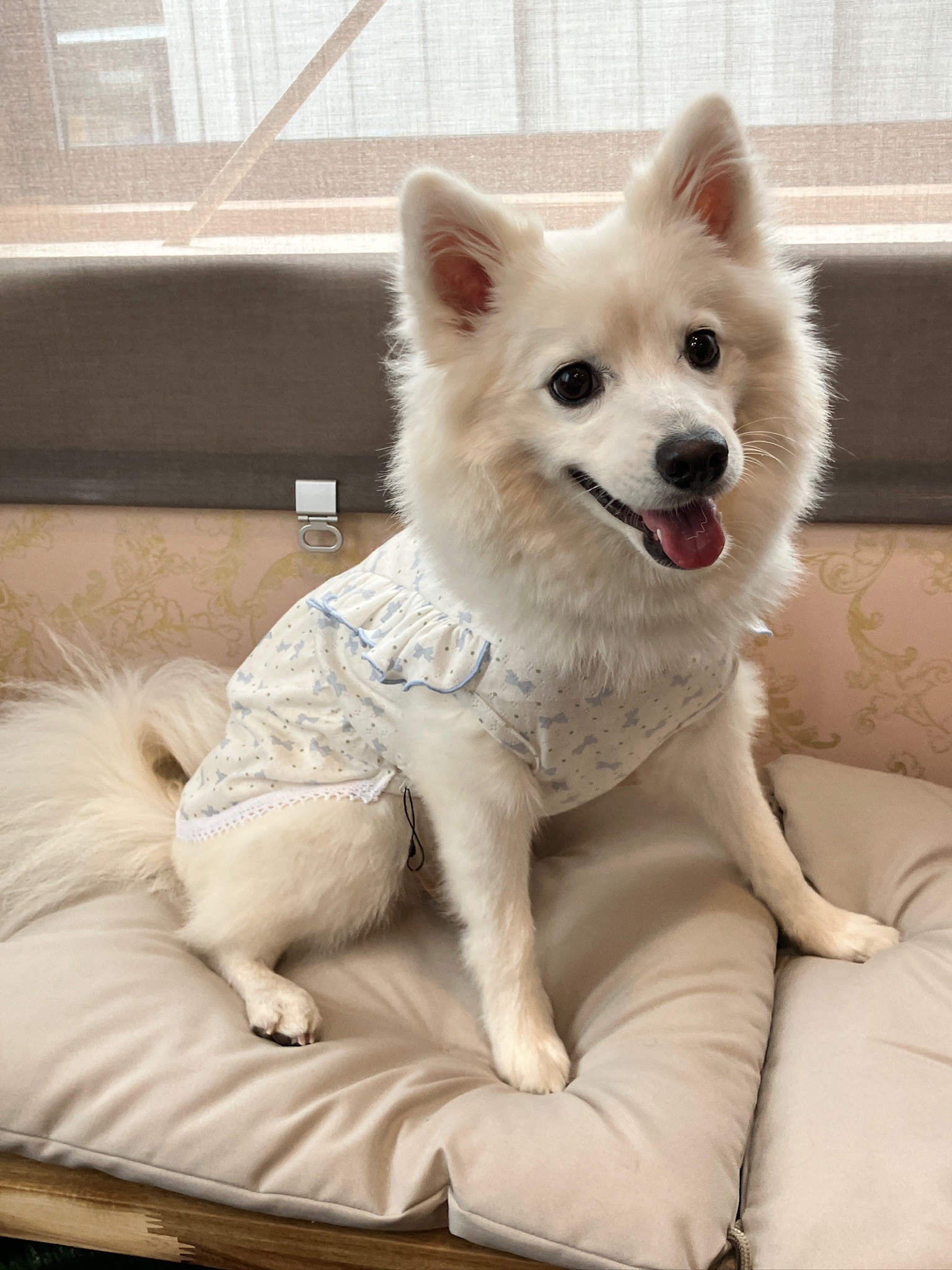 名前が入ります