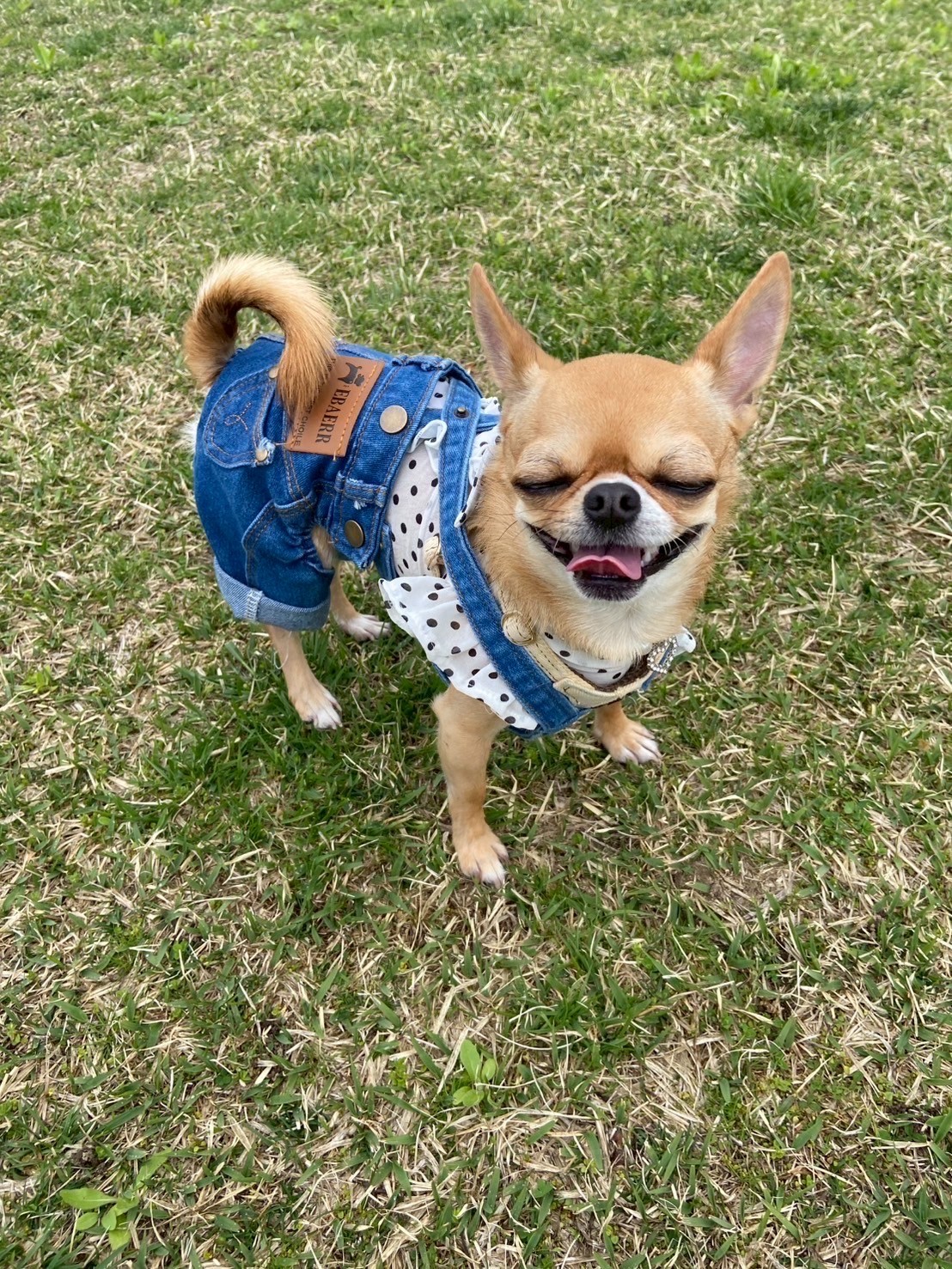 名前が入ります