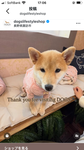 名前が入ります