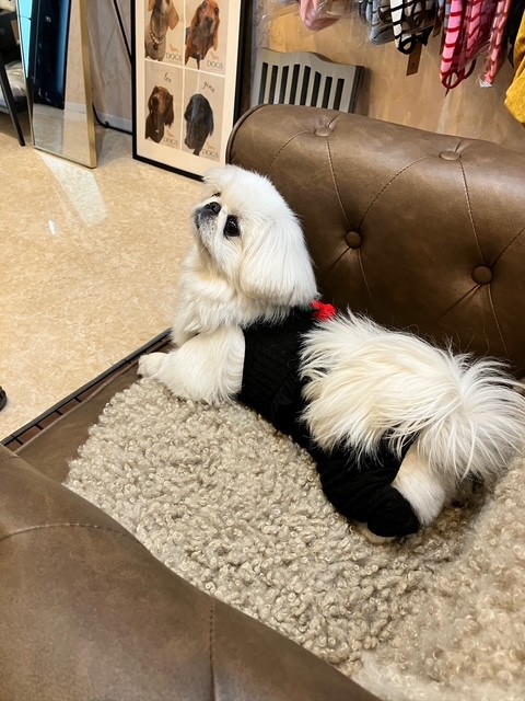 名前が入ります