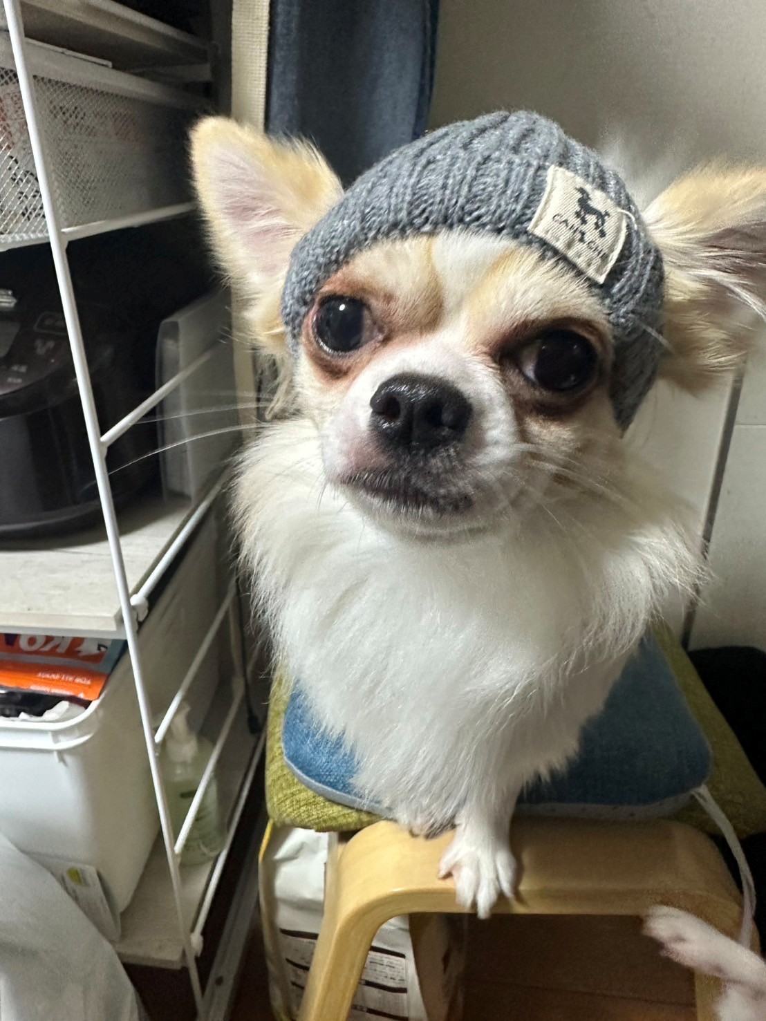 名前が入ります