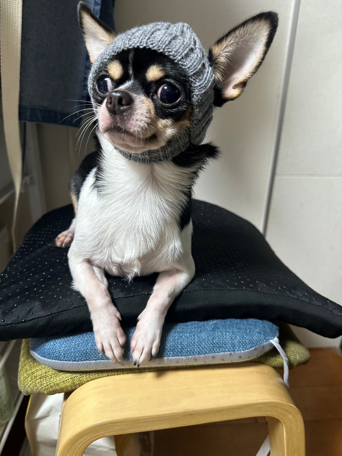 名前が入ります