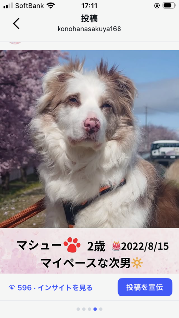 名前が入ります