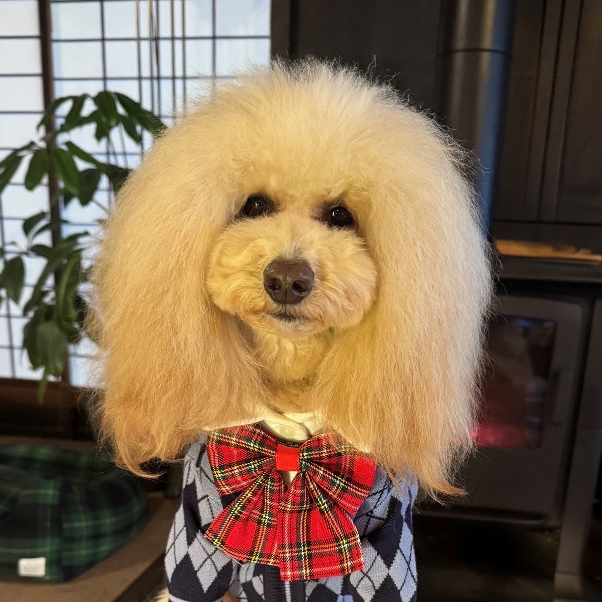 名前が入ります