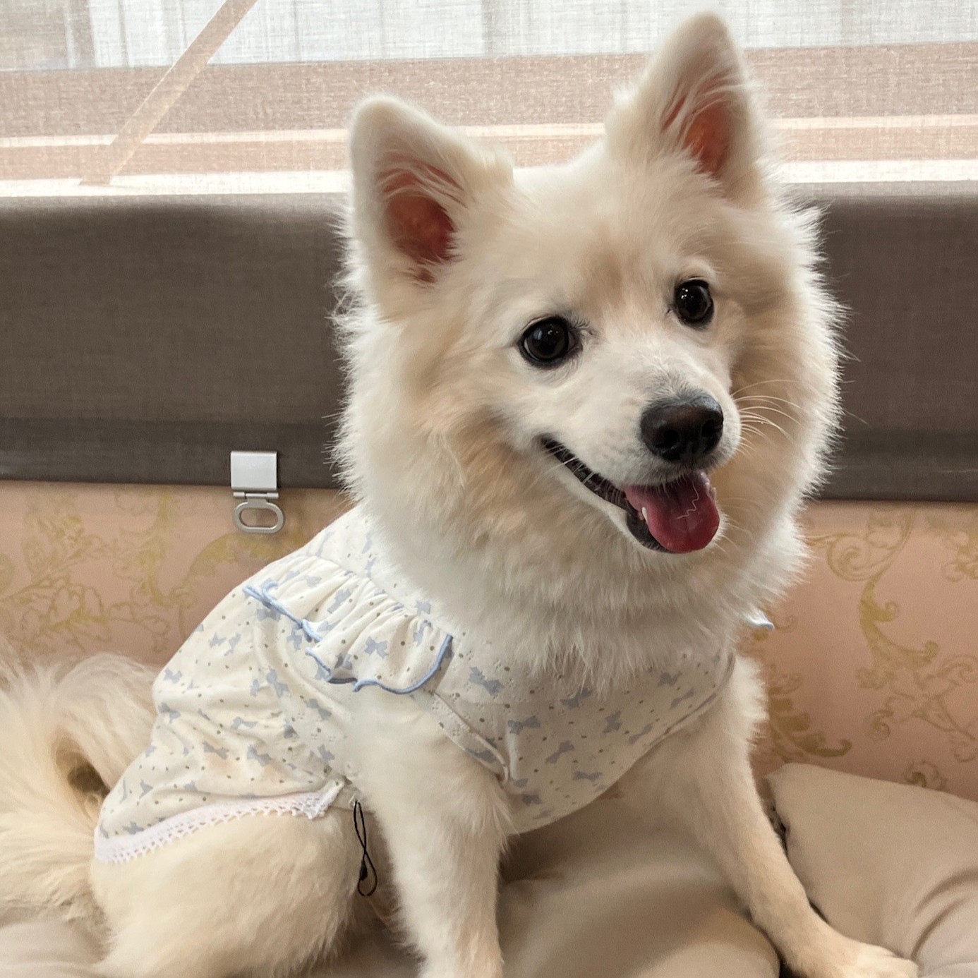 名前が入ります