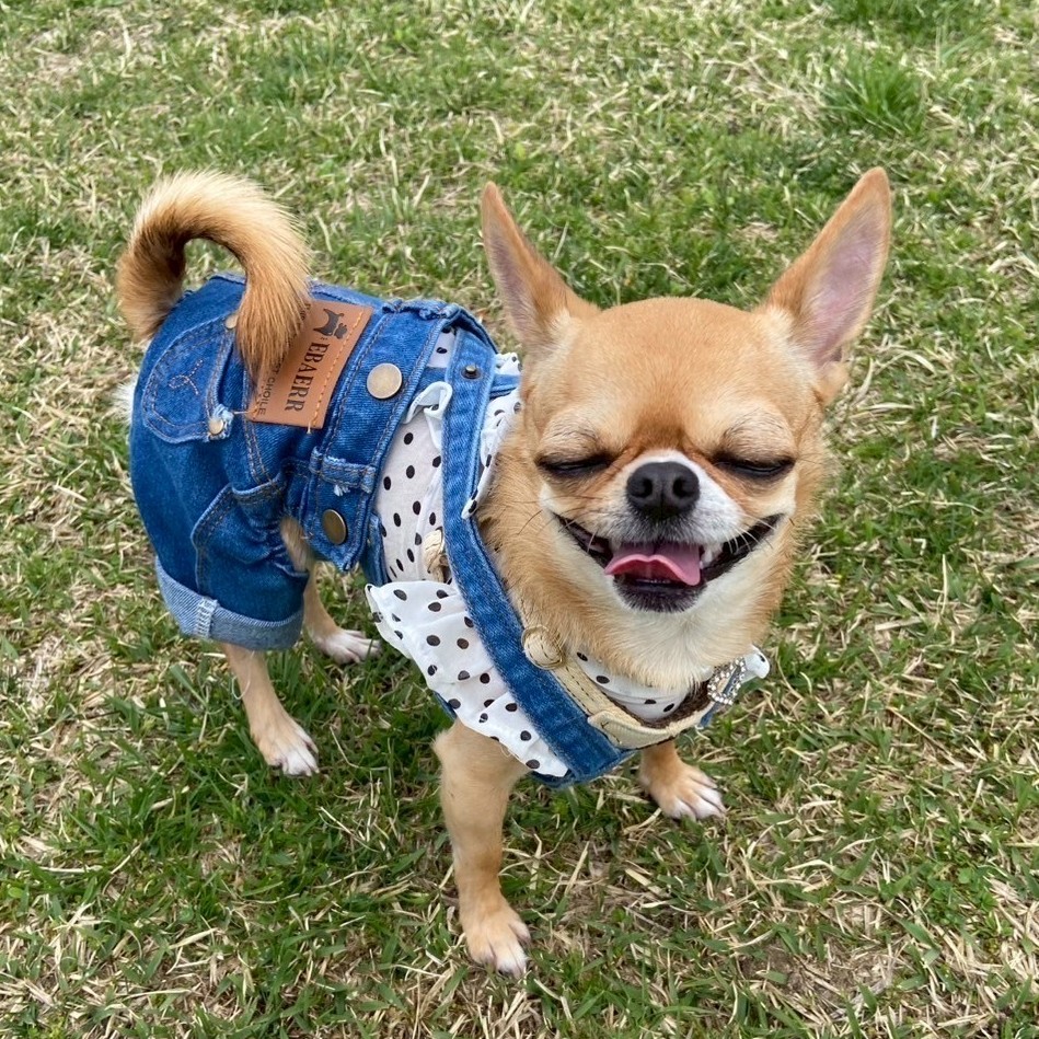 名前が入ります