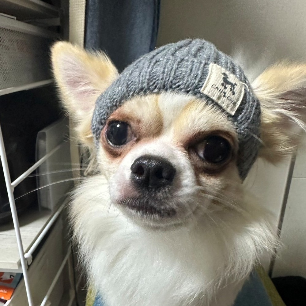 名前が入ります
