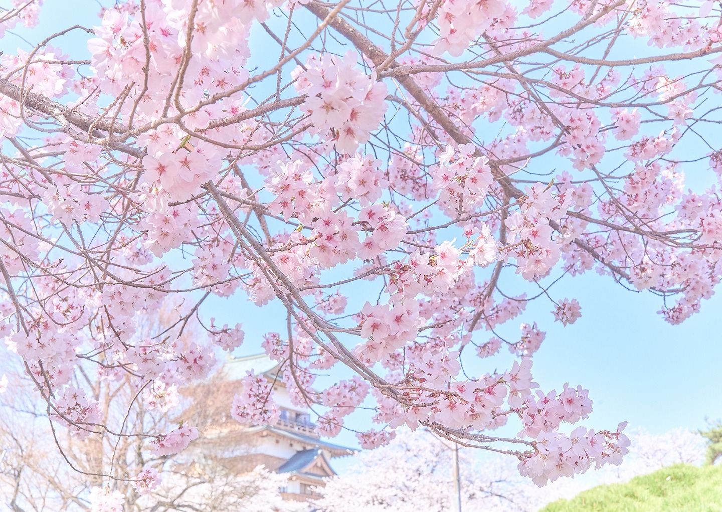 木花咲耶
